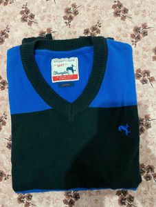 Wrangler Men's Striped V-Neck Sweater