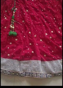Embellished Lehenga Choli Set