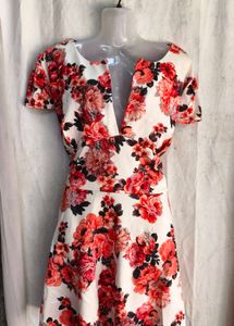 Floral Print V-Neck Dress