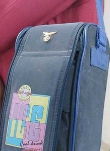 Vintage Eagle Chill-eze Lunch Bag