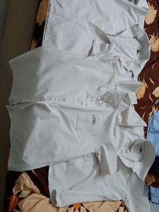 Boys school shirt age 12-14 years