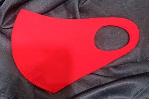 Face Mask (unused)