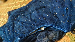 Stunning Royal Blue Embellished Gown