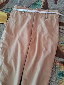 Beige Color Formal Or Casual Look Pants