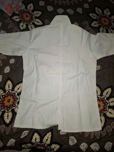 lab coat apron