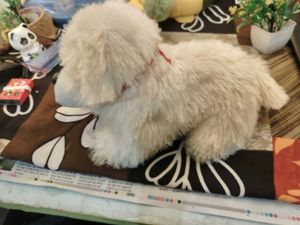 Plush White Dog Toy