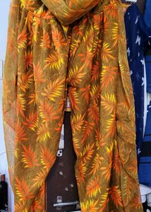 Quality Orang Salwar Sut with Chunari