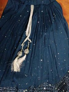 Embroidered Mirror Work top and lehanga skirt set