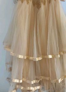 STUNNING HEAVY CANCan GOWN