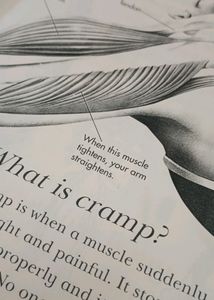 I Wonder why Book