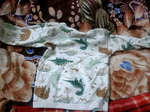 Dino Print Pajama Set