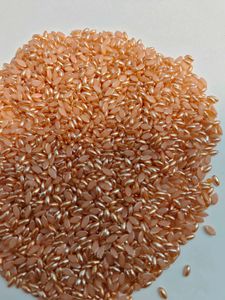 Peach &amp; Gold Seed Beads it's 550 gram