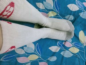 pack of 3 ( adidas + jockey + ss ) socks