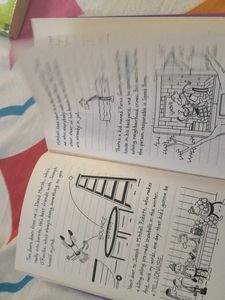 Diary of a Wimpy Kid: The Meltdown