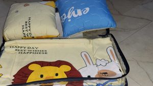 Bedsheet With 5 Pcs Set