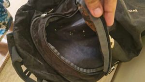 Wildcraft Backpack