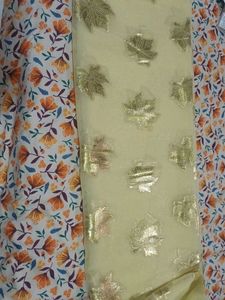 new organza saree with blouse