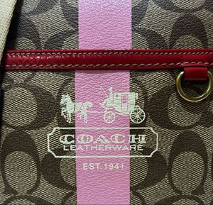 Coach Signature Stripe Crossbody Bag