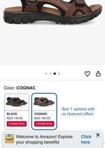 Wrangler Men's Brown Leather Sandals