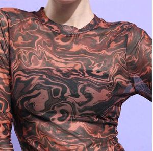 y2k Mesh Long Sleeve Top
