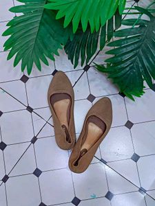 Elegant Brown Ballet Flats