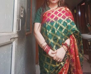 Elegant Green &amp; Red Brocade Saree