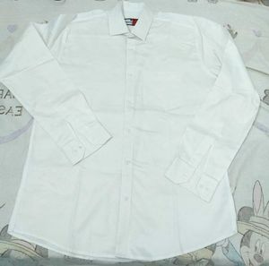 Men collar White Button-Down Shirt