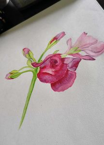 Flower Watercolor Art