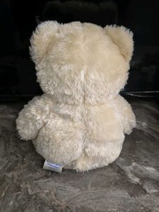 Cute Cream Teddy Bear