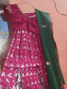 Pink &amp; Silver Embellished Lehenga Choli Set
