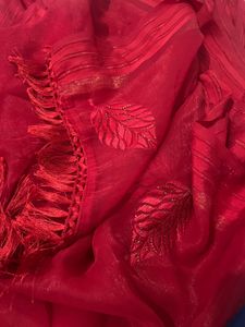 Beautiful Red Saree with Leaf Embellishments