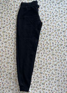 AERO Floral Jogger Pants