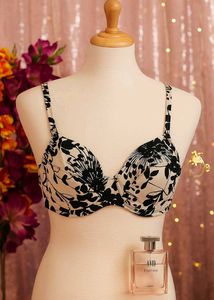 🇳🇿💫 Imported Non Padded Heavy Quality Bra
