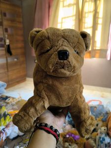 Cute Brown Teddy Bear Plush Toy