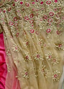 Embroidered Net Saree