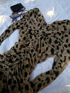 Leopard Print Ruched Mesh Mini Dress
