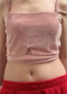 Pink Velvet Crop Top
