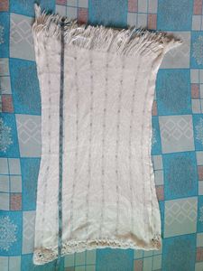 Trendy Scarf/Shawl