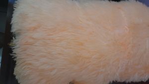 Soft Teddy