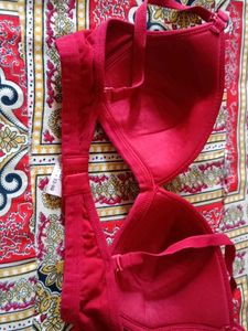Maroon Padded Bra