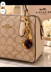 Coach keychain