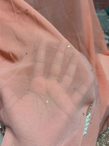 Elegant Peach Saree with Embellishments🫶🏻🔥
