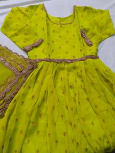 Stunning Lime Green Anarkali Gown