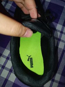 New Puma shoes Worth 650₹