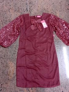 Sparkling Sequin Sleeve Dress