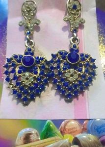 Stunning Blue &amp; White Stone Earrings