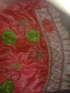 Orange Lehenga Choli with Embellishments