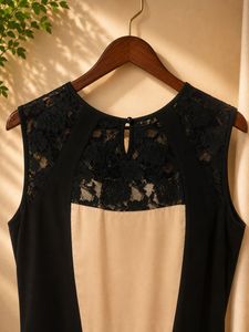 Elegant Lace Neckline Gown