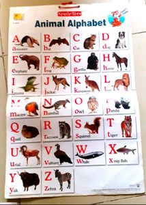 Educational Animal Alphabet Posters