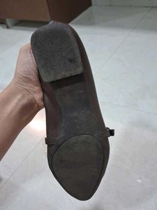 Brown Pointed Toe Flats with Strap